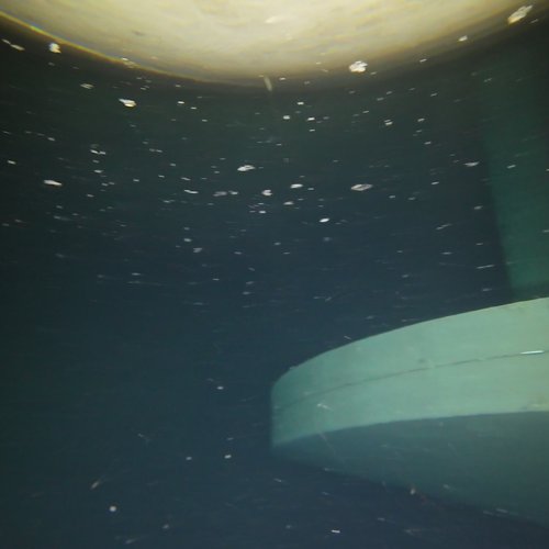 Sprinklertank-Inspektion: Betontank, 5 Jahre – Sprinkleranlage Tankwand Sedimentablagerungen Unterwasseraufnahme